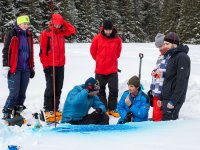 How to visualize the liquid water flow in the snowpack