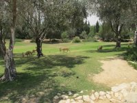 Park v Midreshet Ben-Gurion
