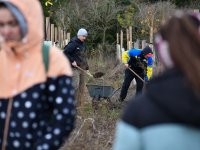 Agroforestry improvements in Amalie