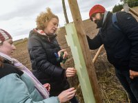 Agroforestry improvements in Amalie