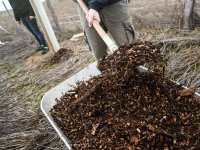 Agroforestry improvements in Amalie