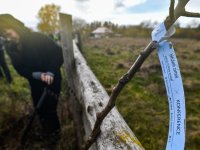 Agroforestry improvements in Amalie