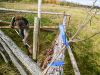 Agroforestry improvements in Amalie