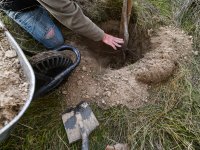 Agroforestry improvements in Amalie