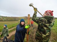 Nové výsadby a instalace naučné stezky u V. Hostěrádek