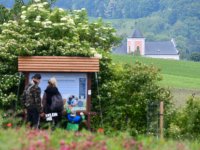 Projekty EarthBridge a Framework součástí akce Jetelový den