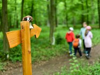 Projekty EarthBridge a Framework součástí akce Jetelový den