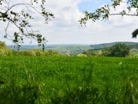 Projekty EarthBridge a Framework součástí akce Jetelový den