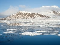 Sea ice in Isfjorden bay. Photo by: @Roman Juras