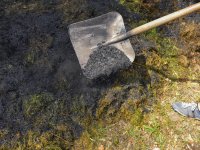 Aplikace biocharu do kompostu