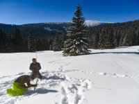 Zimní škola 2025 v Krkonoších