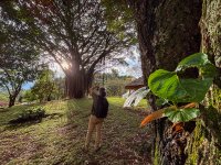 Four-year Afro-European project AfroGrow launched in Nairobi