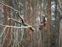 Veteranizace podpoří biodiverzitu v rezervaci