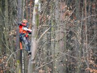 Veteranizace podpoří biodiverzitu v rezervaci
