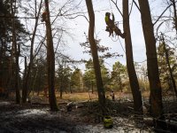 Veteranizace podpoří biodiverzitu v rezervaci
