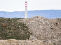 Rekultivační výsadby dřevin jsou pod tlakem ze strany zvěře