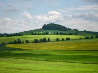 Snímkování a měření respirace na lokalitě Mönchsberg