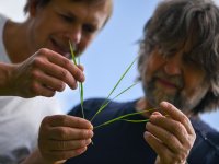 Snímkování a měření respirace na lokalitě Mönchsberg