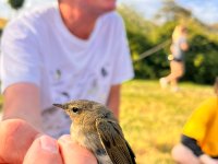 Letní škola Klimatická změna a biodiverzita