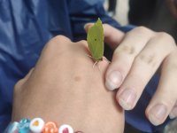 Letní škola Klimatická změna a biodiverzita