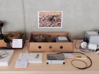 Workshop k přirozené i umělé inkubaci ptačích vajec zaujal chovatele