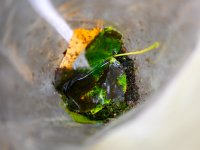Tým hydrobiologa Michala Bílého v terénu