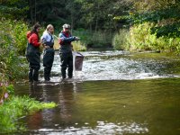 Hydrobiologist Michal Bílý's team in the field