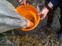 Hydrobiologist Michal Bílý's team in the field