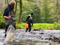 Hydrobiologist Michal Bílý's team in the field