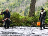 Hydrobiologist Michal Bílý's team in the field