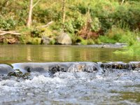 Kirnitzsch River