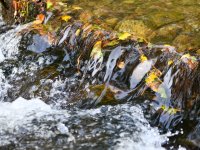 Kirnitzsch River