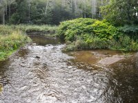 Sebnitz River