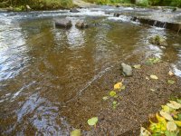 Sebnitz River