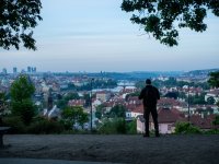 Nová ornitologická studie Petera Mikuly