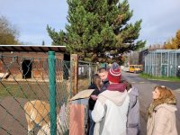 Visit of Greek Students Within the Erasmus+ Programme