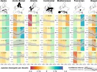 change in number of species