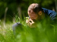 Nová botanická studie v časopise Landscape Ecology