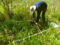 Nová botanická studie v časopise Landscape Ecology