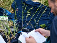 Nová botanická studie v časopise Landscape Ecology