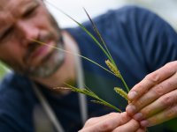 Nová botanická studie v časopise Landscape Ecology