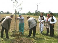 Strážnice na Moravě 2009