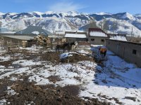 Kyrgyz National Agriculture University