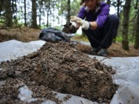 Fieldwork on the Sokolov post-mining sites