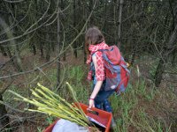 Fieldwork on the Sokolov post-mining sites