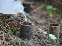 Fieldwork on the Sokolov post-mining sites