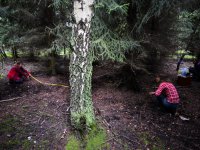 Fieldwork on the Sokolov post-mining sites