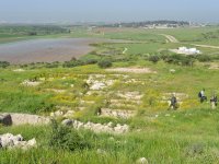 Tel Burna archeological site