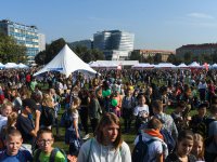 Entomologové FŽP na Festivalu vědy 2018
