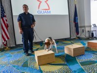 Guam-vyhledávání hadů
